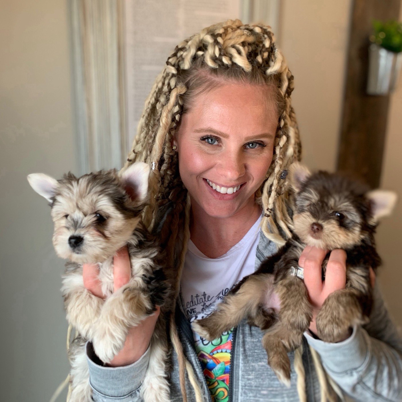 A Yorkshire Terrier puppy raised by Yorkies By Design