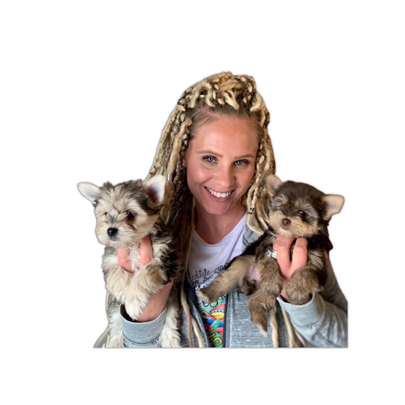 Yorkies By Design — Yorkshire Terriers raised at home in Idaho